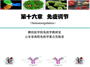 医学免疫学-第16章-免疫调节课件.ppt