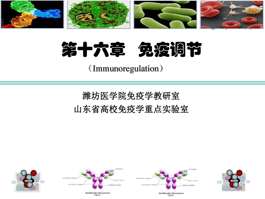 医学免疫学-第16章-免疫调节课件.ppt_第1页