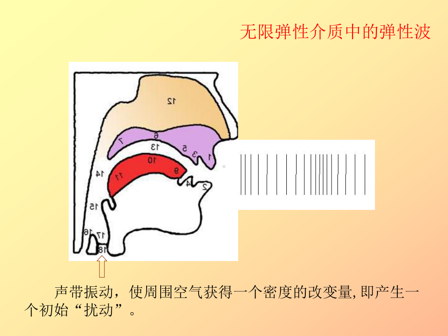 工学无限弹性介质中的弹性波课件.pptx_第2页