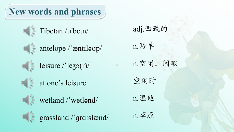 Unit 6 Nurturing nature词汇预习ppt课件（2019）新外研版高中英语选择性必修第一册.pptx_第3页