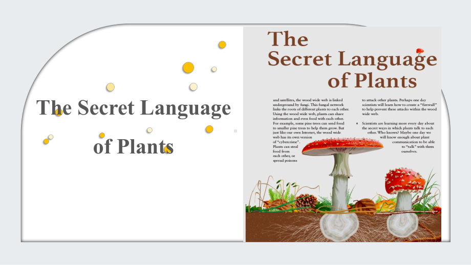 Unit 6 Developing ideas The Secret language of Plants ppt课件-（2019）新外研版高中英语选择性必修第一册.pptx_第1页