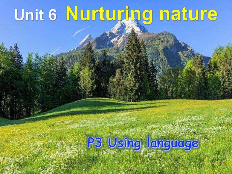 Unit 6 Nurturing Nature -Using languag eppt课件-（2019）新外研版高中英语选择性必修第一册.pptx_第2页