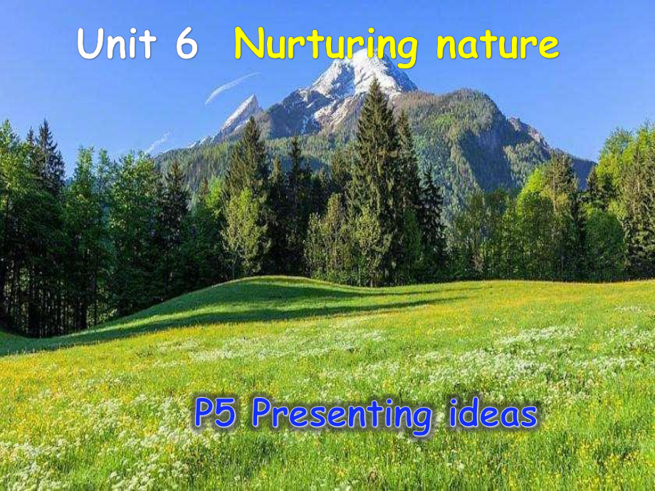 Unit 6 Nurturing Nature Presenting ideas ppt课件-（2019）新外研版高中英语选择性必修第一册.pptx_第2页