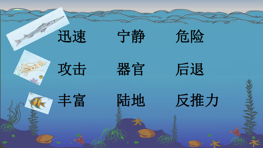 扬州部编版小学语文三年级下册第七单元《23海底世界》公开课课件（第二课时）.ppt_第2页