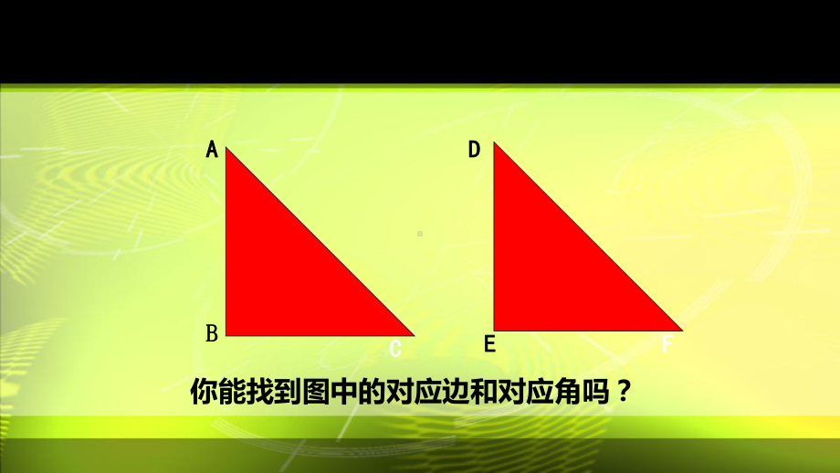 《图形的全等》教学课件.pptx_第3页