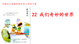 统编版三年级语文下册22《我们奇妙的世界》课件（公开课）.ppt