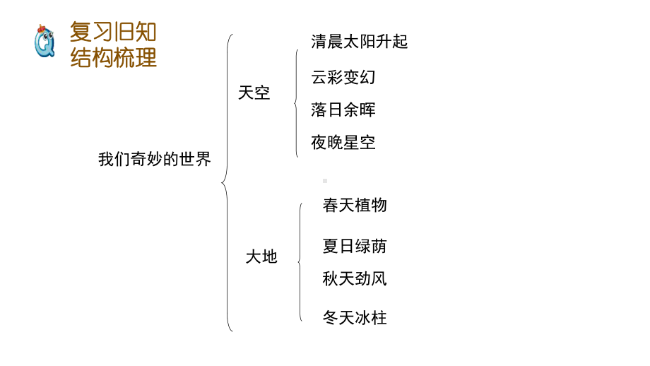 统编版三年级语文下册22《我们奇妙的世界》课件（公开课）.ppt_第3页