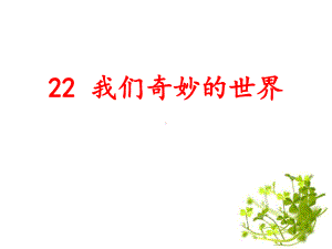 统编版小学语文三年级下册22《我们奇妙的世界》课件（公开课）.pptx