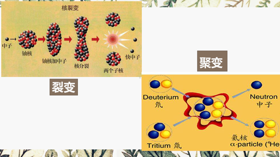 5.4-5.5 核裂变与核聚变 “基本” 粒子 ppt课件-（2019）新人教版高中物理选择性必修第三册.pptx_第2页