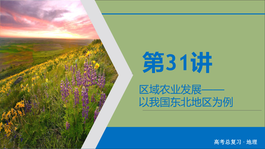 2020版高考地理一轮总复习第15章区域经济发展第31讲区域农业发展-以我国东北地区为例课件新人教版.ppt_第2页