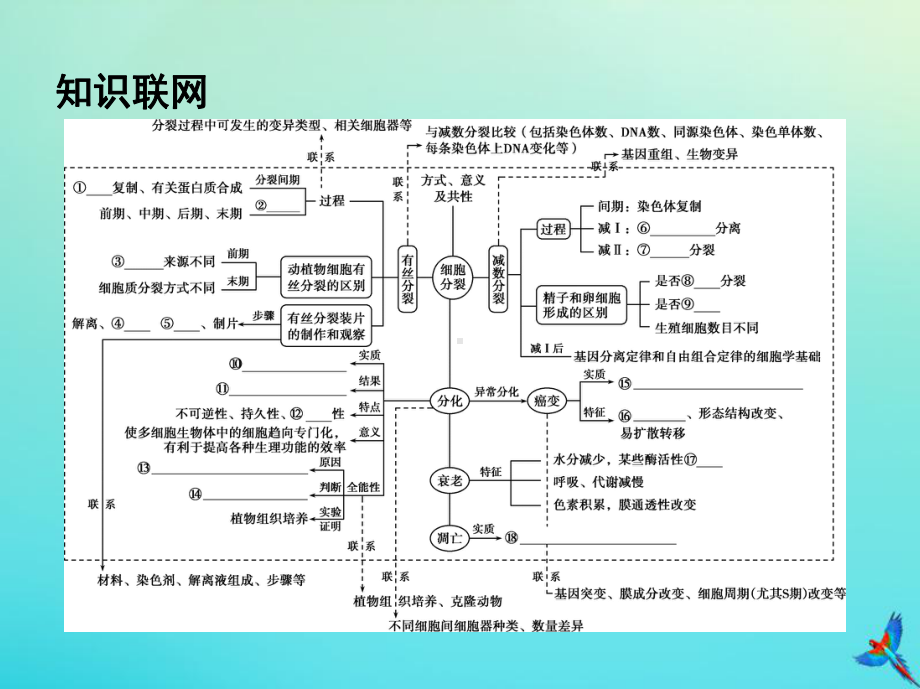 2020届高三生物二轮复习第5讲细胞的生命历程课件.pptx_第2页