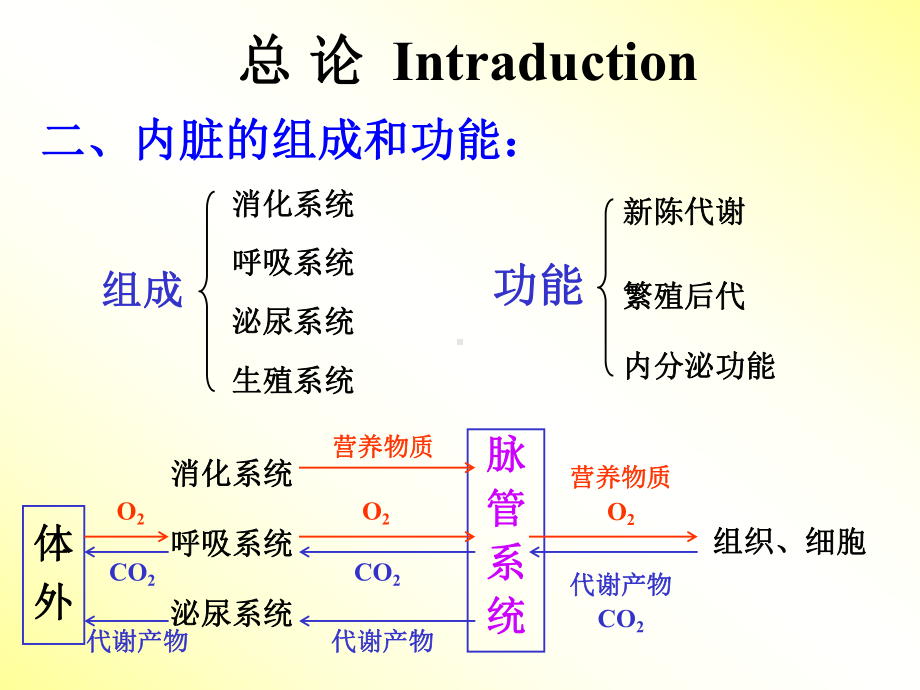 10-内脏总论、消化课件.ppt_第3页