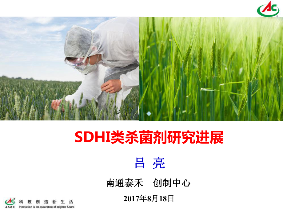 SDHI类杀菌剂研究进展课件.ppt_第1页