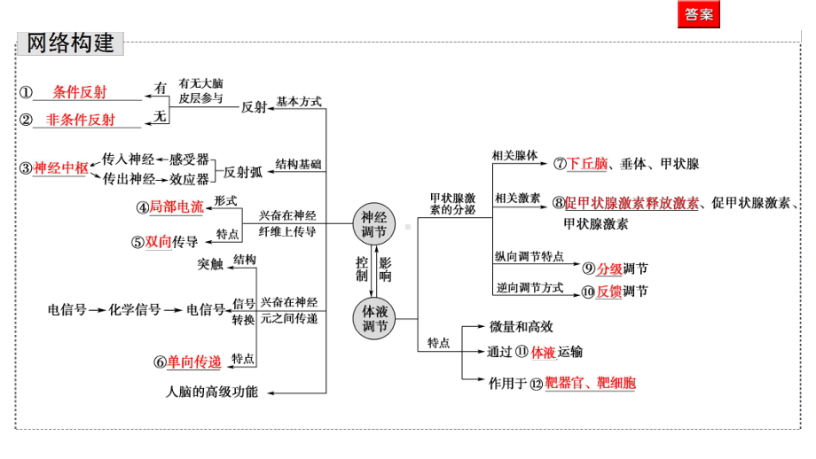 2021高考生物统考版二轮复习课件：第1部分-专题4-第1讲-神经调节和体液调节-.ppt_第2页