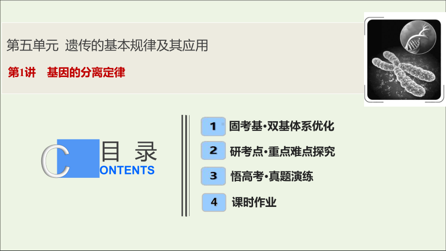 2020高考生物大一轮复习第五单元第1讲基因的分离定律课件新人教版.ppt_第1页