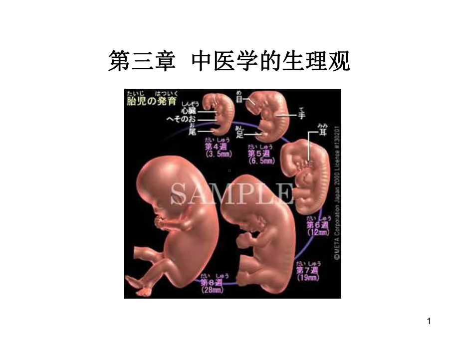 中医学的生理观课件.ppt_第1页