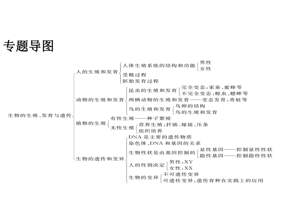 中考生物第九单元九生物的生殖、发育与遗传、变异专题复习课件.ppt_第2页