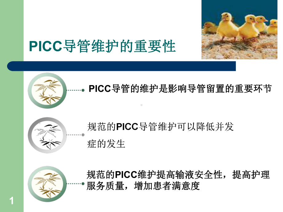 PICC维护资料优质PPT课件.ppt_第1页