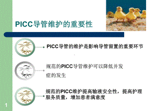 PICC维护资料优质PPT课件.ppt