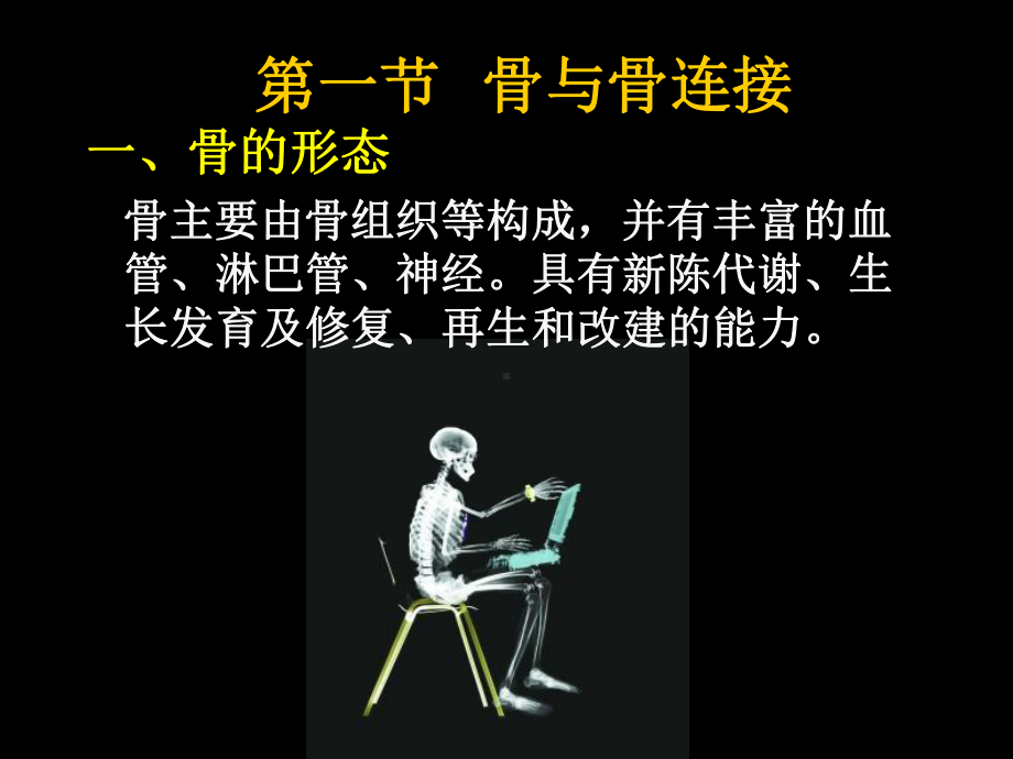 02现代基础医学概论第二章运动系统资料课件.ppt_第2页