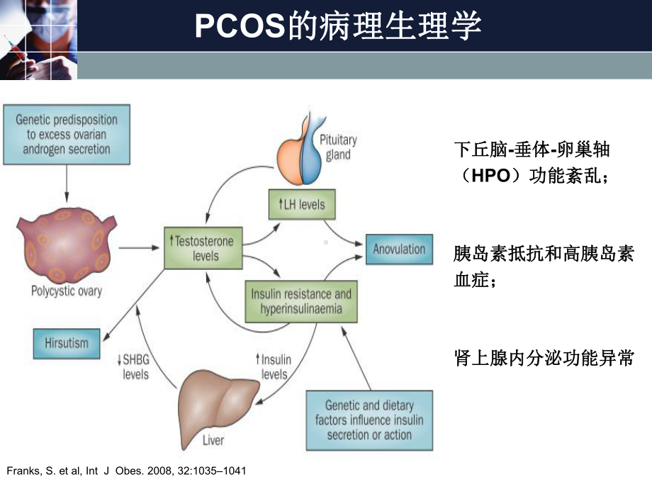 PPT医学课件青春期多囊卵巢综合征诊治共识讲义.ppt_第2页