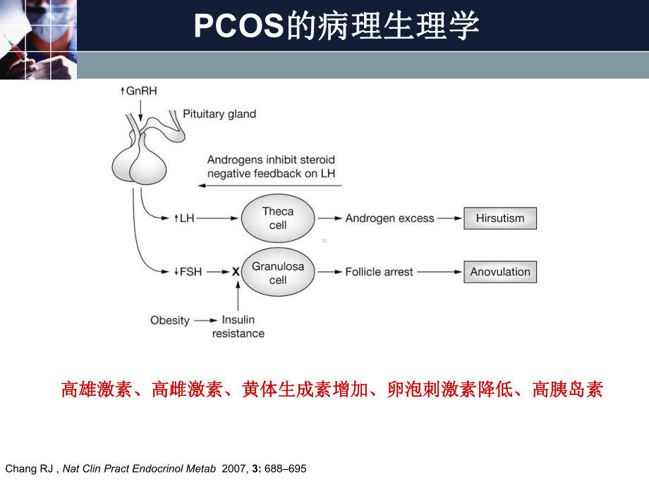 PPT医学课件青春期多囊卵巢综合征诊治共识讲义.ppt_第3页