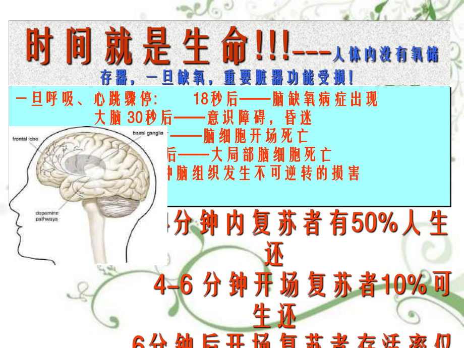 2021最新心肺复苏术教学培训幻灯片PPT课件.ppt_第3页