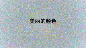 《美丽的颜色》教学课件.pptx