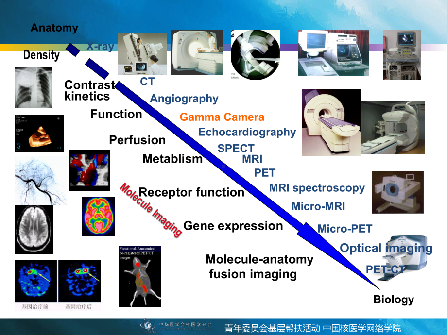 PETCT显像的临床应用课件.ppt_第3页