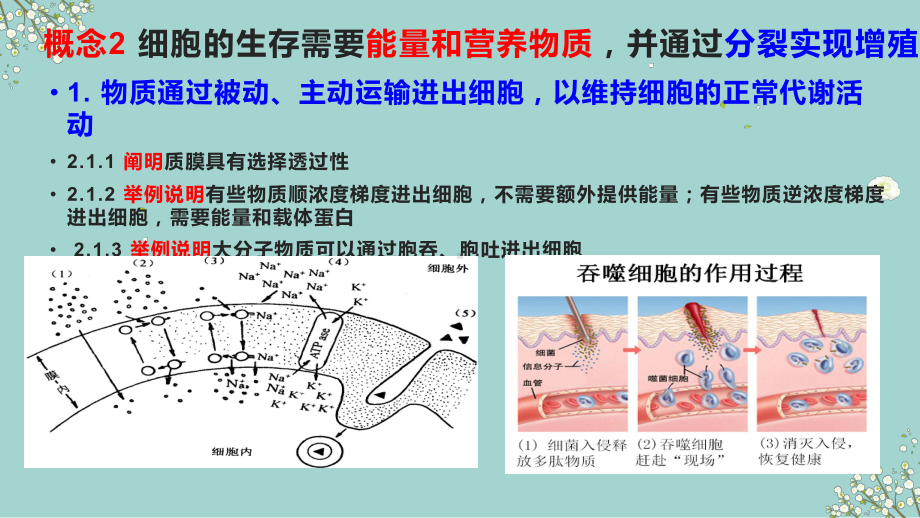 2020届高三二轮复习生物：基于核心概念的高三生物专题复习-课件.ppt_第3页