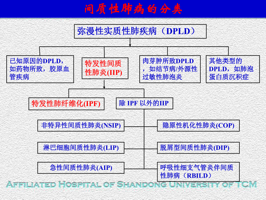 IPF诊断和治疗指南解读课件.ppt_第3页