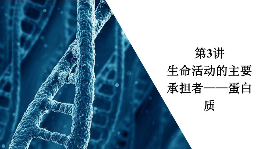 2021届新高考生物一轮复习(选择性考试A方案)课件：生命活动的主要承担者-蛋白质.ppt_第3页