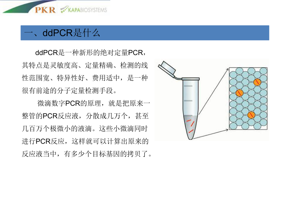 BioRad数字微滴PCR经典课件.ppt_第3页