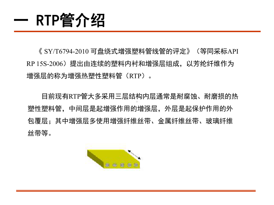 RTP管介绍参考幻灯片课件.ppt_第2页