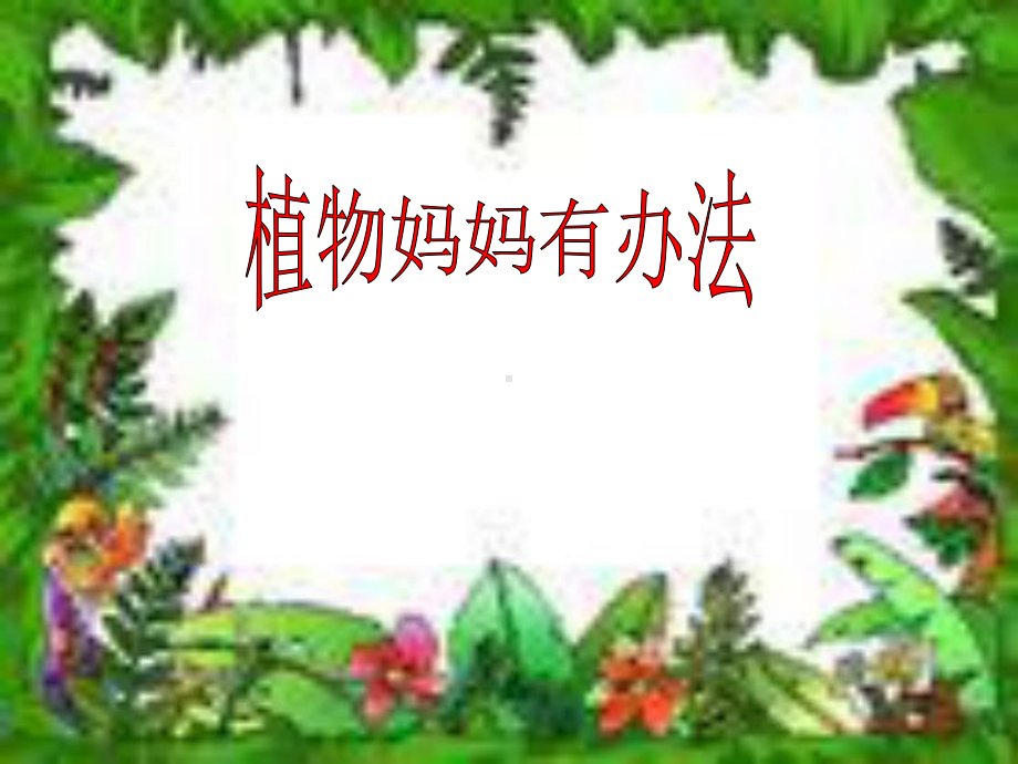 3植物妈妈有办法22课件.ppt.ppt_第1页