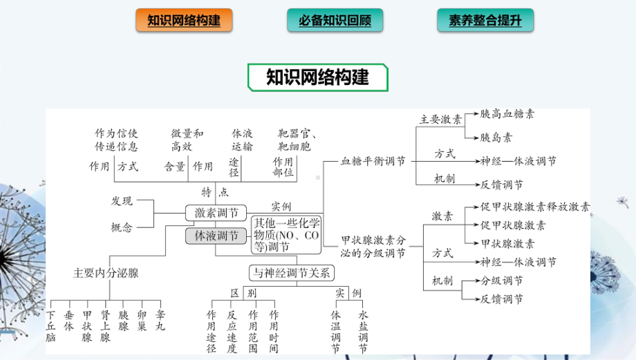 2022版新教材生物人教版选择性必修第一册课件：第3章-体液调节-章末总结.pptx_第2页