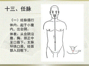 4.1任脉、督脉教程课件.ppt