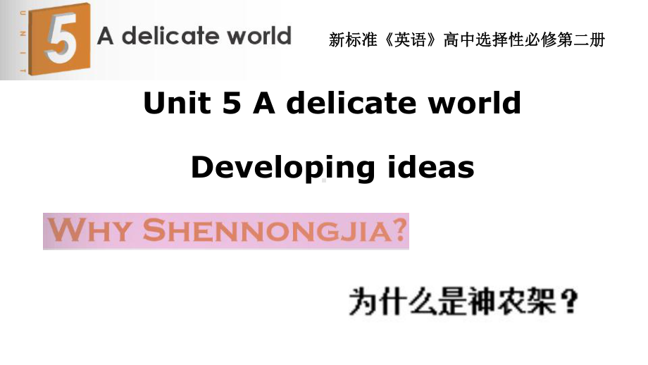 Unit 5 Developing ideasppt课件-（2019）新外研版高中英语选择性必修第二册.pptx_第1页