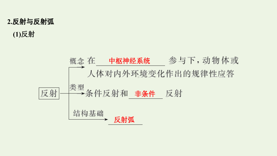 (鲁京津琼)2020版高考生物总复习第23讲通过神经系统的调节课件.pptx_第3页