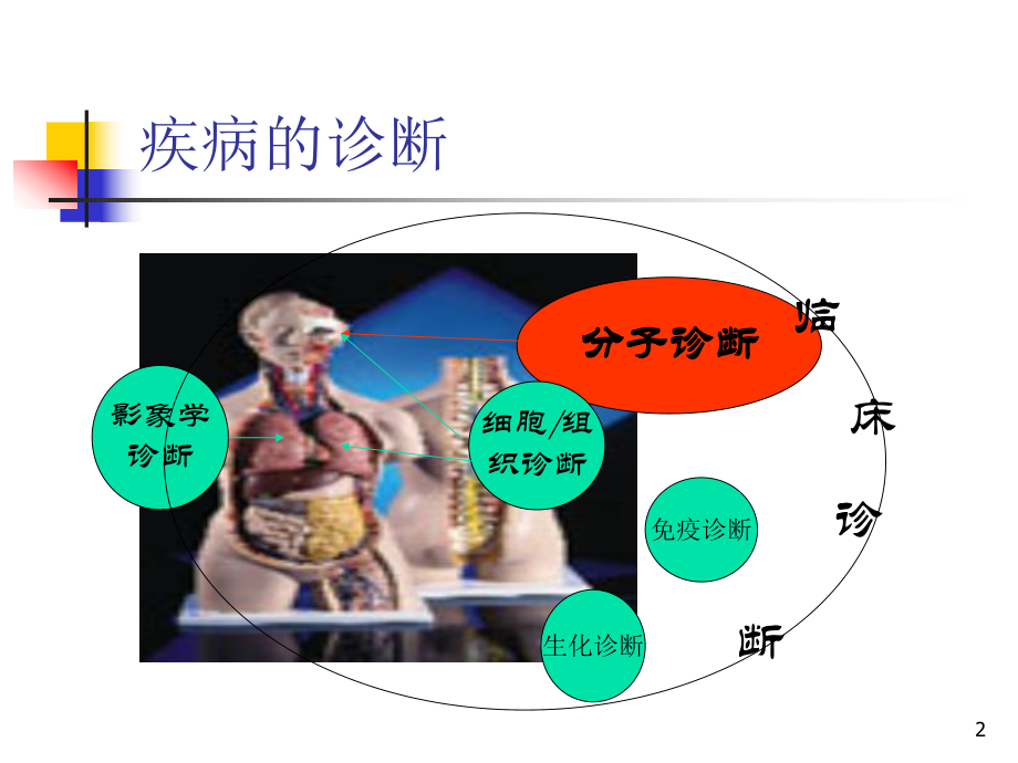 PCR技术上岗培训ppt课件.ppt_第2页