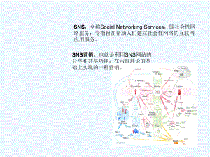 (完整版)网络营销-SNSppt文档课件.ppt
