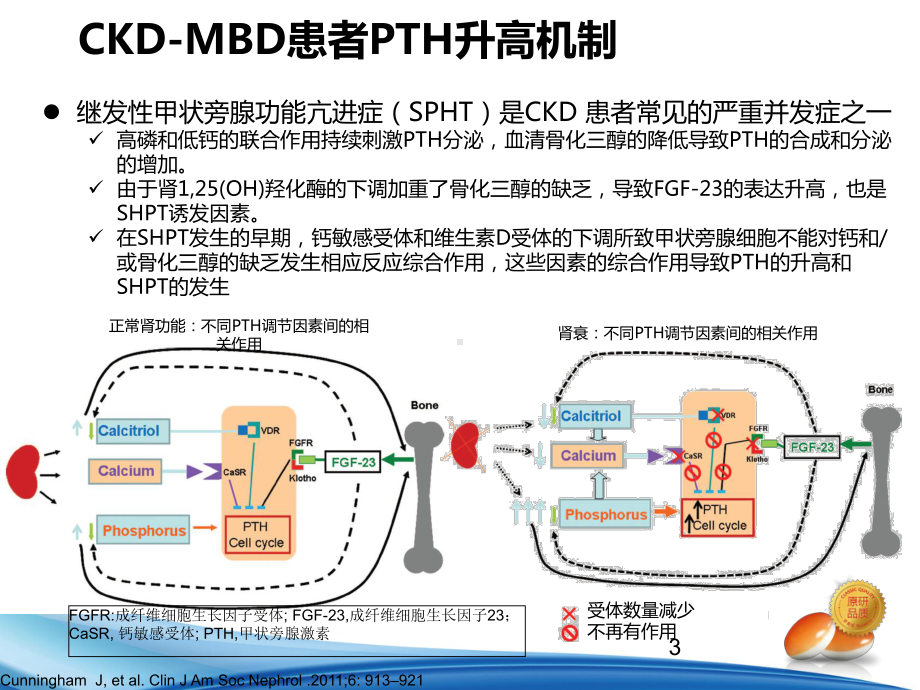 CKD患者PTH达标范围解读ppt课件.ppt_第3页