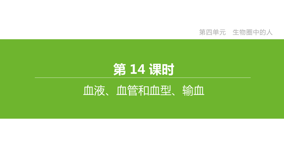 2020年生物中考考点复习课件第14课时-血液、血管和血型、输血.pptx_第2页