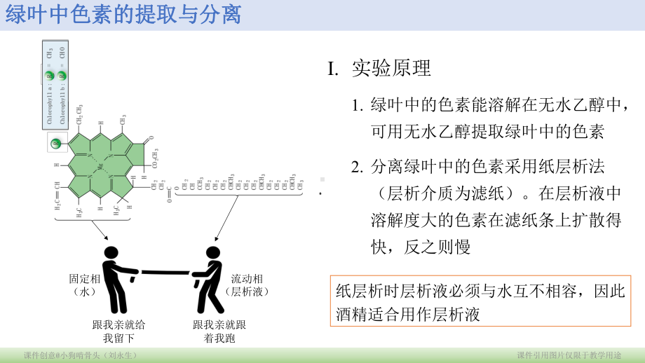 1.5.4光合作用与能量转化课件.pptx_第3页