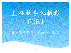 DR使用总结ppt课件.ppt