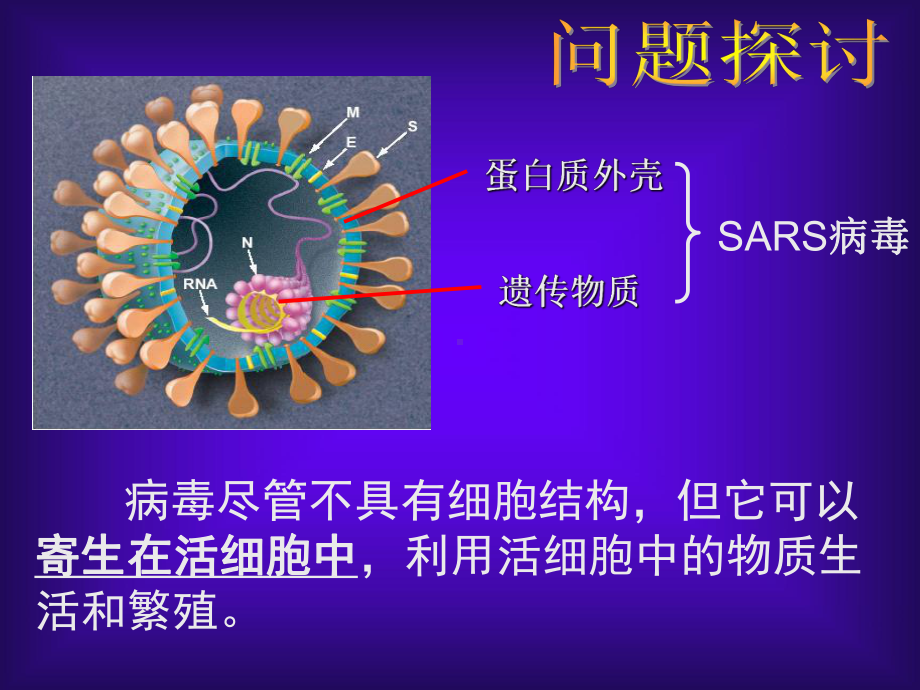 1.1走进细胞-PPT课件.ppt_第3页