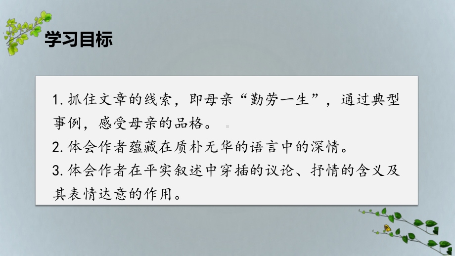 《回忆我的母亲》教学课件.pptx_第2页