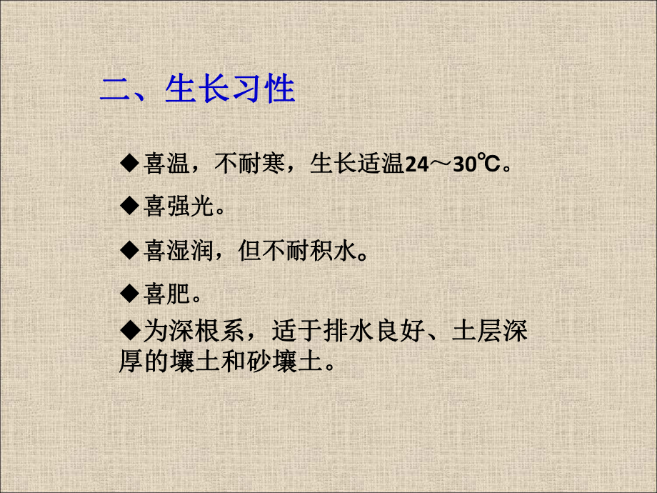 4-中小学植物栽培竞赛矮番茄PPT课件.ppt_第3页