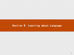 2020-2021学年新高中英语人教版选择性必修第一册课件：Unit-3-Section-B-Learning-about-Language.pptx