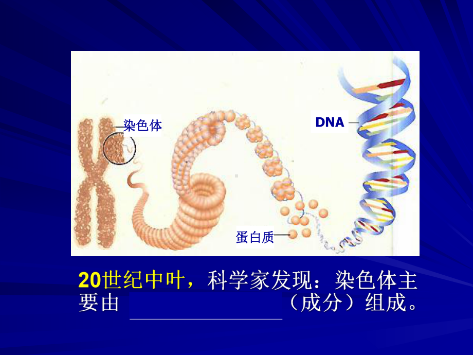 DNA是主要的遗传物质公开课PPT课件.pptx_第3页